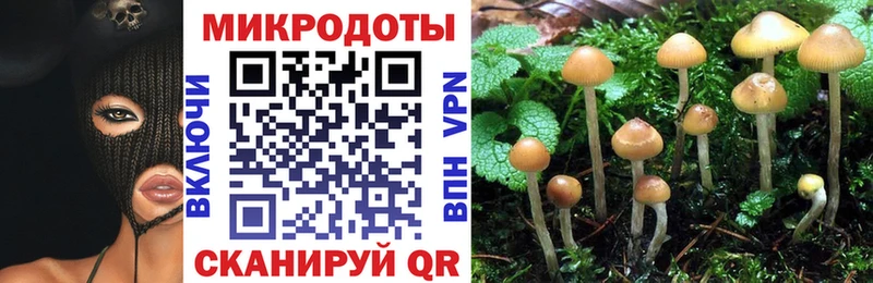 даркнет сайт  Лабытнанги  Псилоцибиновые грибы Magic Shrooms 